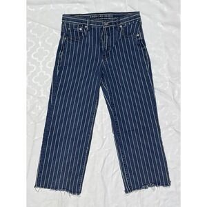American Eagle Wide Leg Jeans Pinstripe Pants Frayed Hem Boho‎ Belted Women's 4